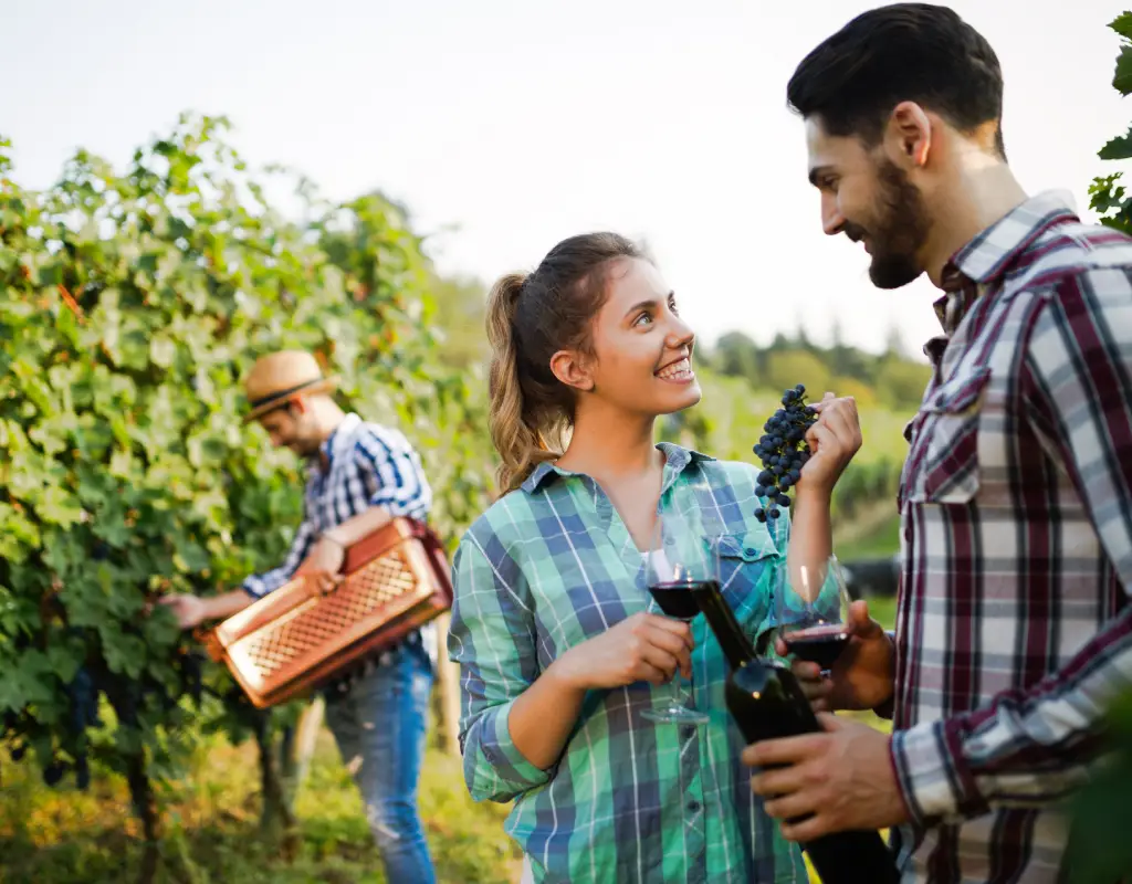 Wineries & Breweries