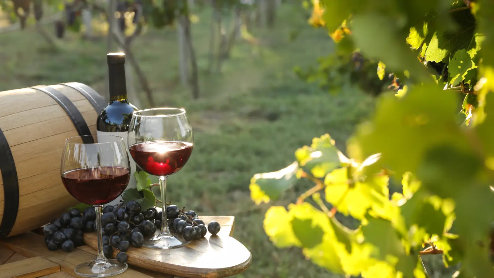 Wineries & Breweries